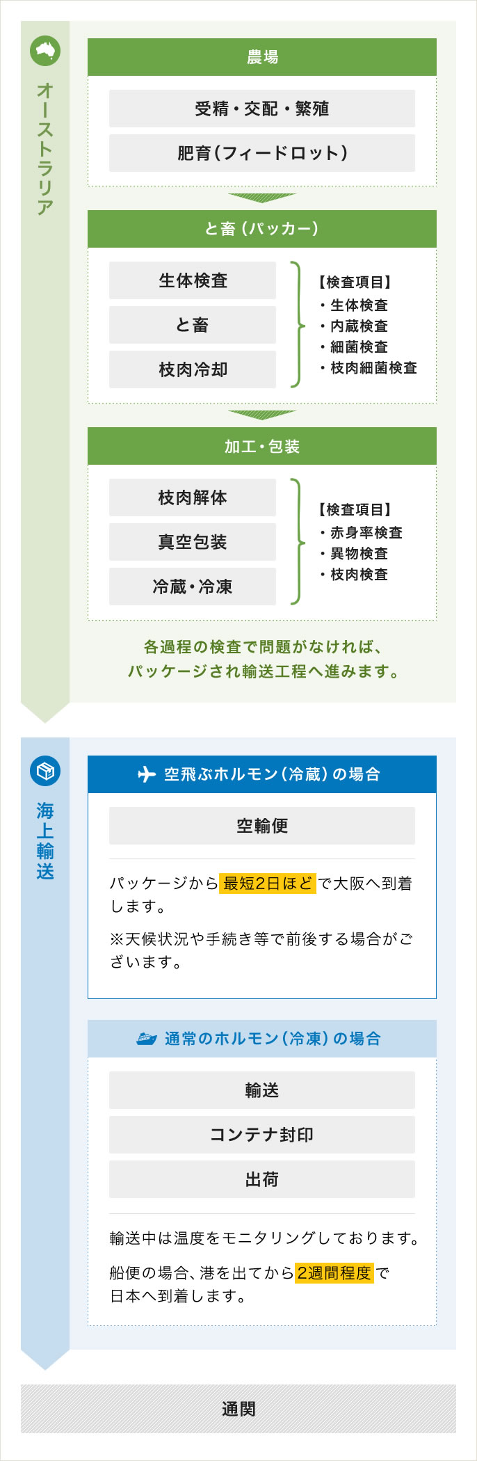 空飛ぶホルモンと通常のホルモンの比較