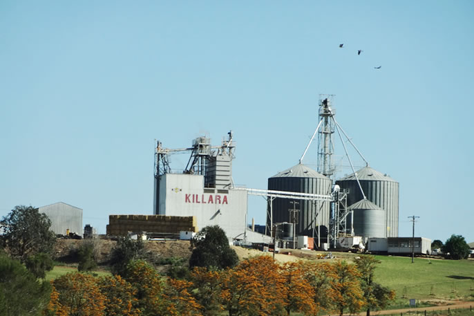 KILLARA Feedlot