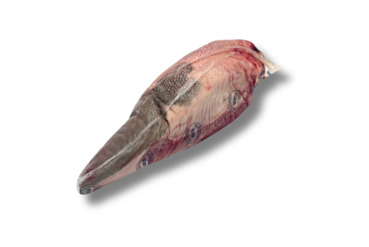 GF TONGUE 100day 1.2KgUP