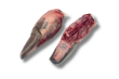 GF TONGUE 100day 1.2KgUP